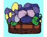 Coloring page Basket of flowers 12 painted bysmaxwell