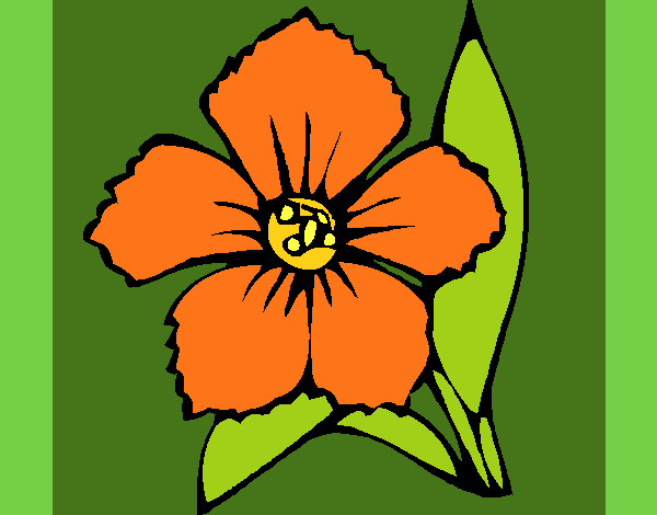 Flower 4a