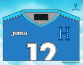 Honduras World Cup 2014 t-shirt