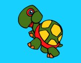 Coloring page Land turtle painted bymindella