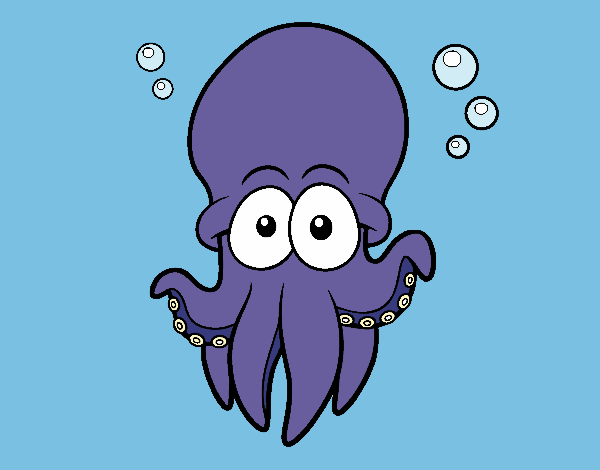 Atlantic white-spotted octopus