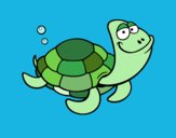 Big-headed turtle