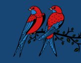 Coloring page Pair of birds painted byCharlotte