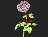 Coloring page A rose painted byKarenlulu
