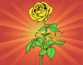 Coloring page A rose painted byAnia