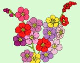 Coloring page Cherry tree flower painted byAnia