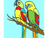 Coloring page Parrots painted byAnia