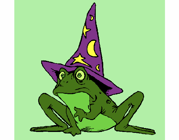 Magician turned into a frog