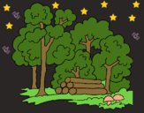 Coloring page Forest painted byAnia