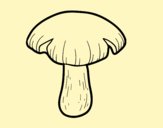 Entoloma sinuatum mushroom