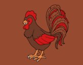 Te rooster farm