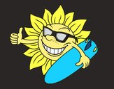Sun Surfer
