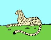 Coloring page Cheetah resting painted byAnia