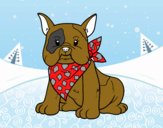 Coloring page French Bulldog painted byDANO   