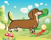 Coloring page Dachshund dog painted byAnia