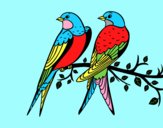 Coloring page Pair of birds painted byAnia