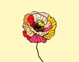 Coloring page Poppy flower painted byLoLamb