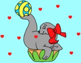 Coloring page Seal playing ball painted byAnia