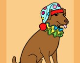 Coloring page Clown dog painted byAnia