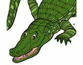 Coloring page Crocodile painted byLeigh