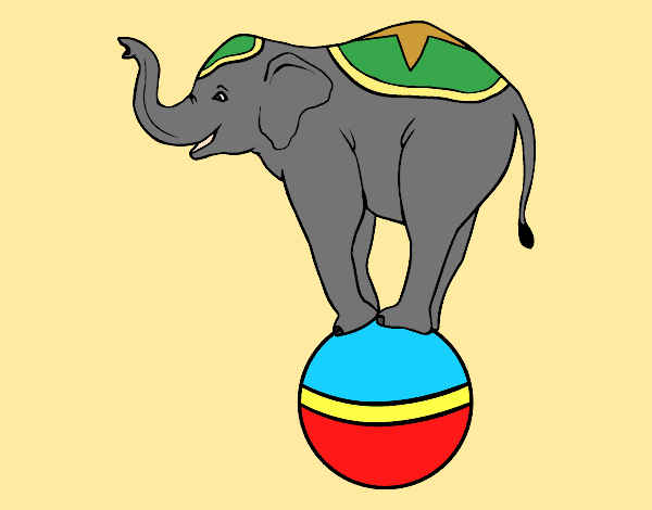 Equilibrist elephant