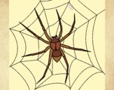 Coloring page Spider painted byLeigh
