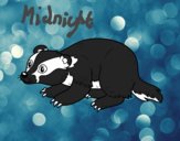 Coloring page Iberian badger painted byKitty