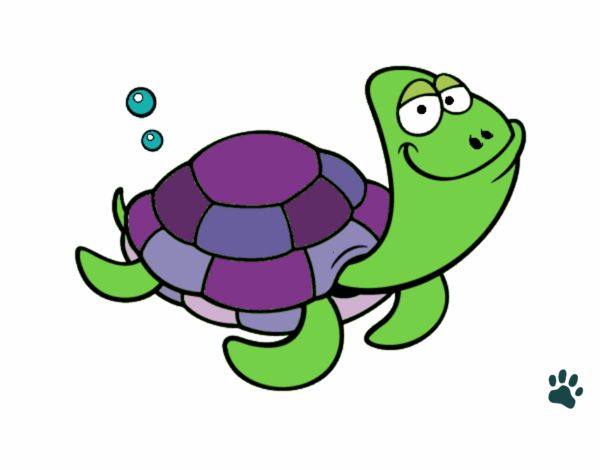 Big-headed turtle