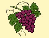Coloring page Bunch of grapes painted byAnia