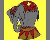 Coloring page Performing elephant painted byCherokeeGl