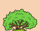 Coloring page A shrub painted byAnia