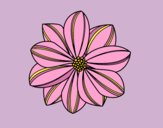 Coloring page Daisy flower painted byAnia