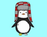 A penguin with cap