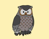 Coloring page Adult owl painted byAnia