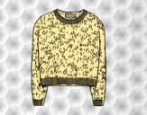 Coloring page Cashmere sweater painted byAnia