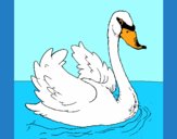 Coloring page Swan in water painted byAnia