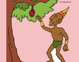 Mayan in fruit tree