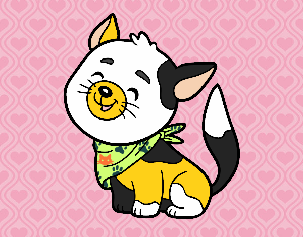 Cat with kerchief