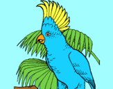 Coloring page Cockatoo painted byAnia