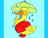 Coloring page Duck in the rain painted byAnia