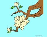 Coloring page Almond flower painted byAnia