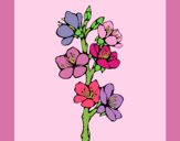 Coloring page Country flowers painted byAnia