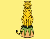 Coloring page Tiger of circus painted byAnia