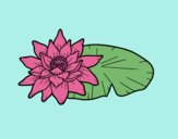 Coloring page A lotus flower painted byHanna