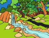 Coloring page Forest landscape with a river painted bypinkrose