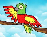 Coloring page Parrot in freedom painted byAnia