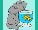 Coloring page Cat watching fish painted byBoylover2