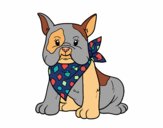 Coloring page French Bulldog painted byBoylover2