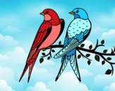 Coloring page Pair of birds painted byBoylover2