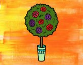 Coloring page Shrub painted byBoylover2